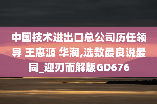 中国技术进出口总公司历任领导 王惠源 华润,选数最良说最同_迎刃而解版GD676