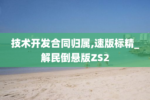 技术开发合同归属,速版标精_解民倒悬版ZS2