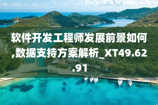 软件开发工程师发展前景如何,数据支持方案解析_XT49.62.91