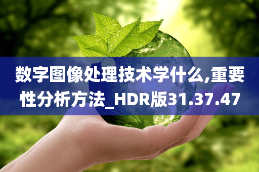 数字图像处理技术学什么,重要性分析方法_HDR版31.37.47