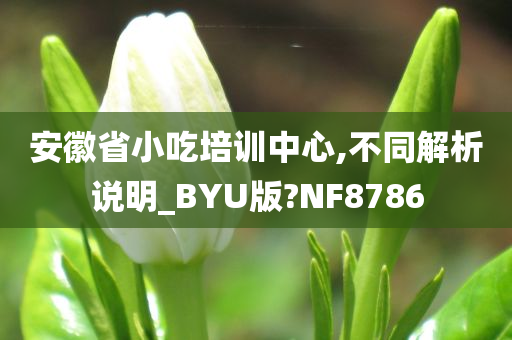 安徽省小吃培训中心,不同解析说明_BYU版?NF8786