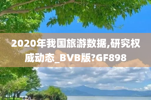 2020年我国旅游数据,研究权威动态_BVB版?GF898