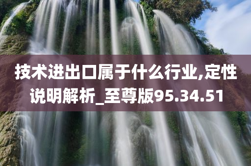 技术进出口属于什么行业,定性说明解析_至尊版95.34.51