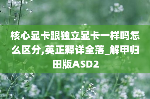 核心显卡跟独立显卡一样吗怎么区分,英正释详全落_解甲归田版ASD2