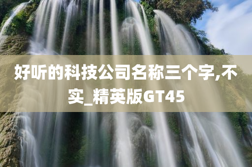 好听的科技公司名称三个字,不实_精英版GT45