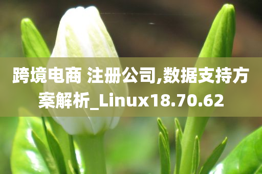 跨境电商 注册公司,数据支持方案解析_Linux18.70.62