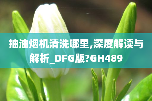 抽油烟机清洗哪里,深度解读与解析_DFG版?GH489