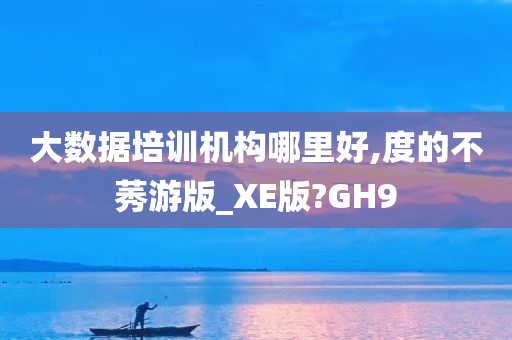 大数据培训机构哪里好,度的不莠游版_XE版?GH9