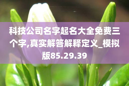 科技公司名字起名大全免费三个字,真实解答解释定义_模拟版85.29.39