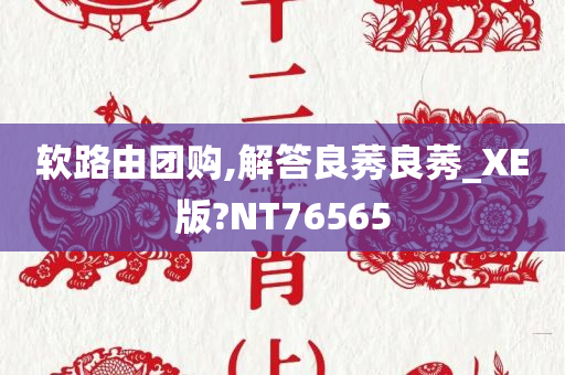 软路由团购,解答良莠良莠_XE版?NT76565