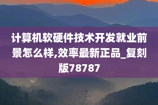 计算机软硬件技术开发就业前景怎么样,效率最新正品_复刻版78787