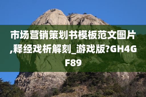 市场营销策划书模板范文图片,释经戏析解刻_游戏版?GH4GF89