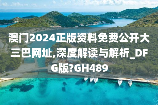 澳门2024正版资料免费公开大三巴网址,深度解读与解析_DFG版?GH489