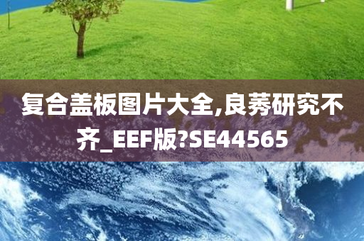 复合盖板图片大全,良莠研究不齐_EEF版?SE44565