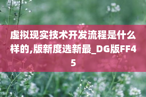 虚拟现实技术开发流程是什么样的,版新度选新最_DG版FF45