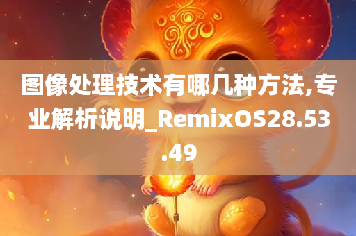 图像处理技术有哪几种方法,专业解析说明_RemixOS28.53.49