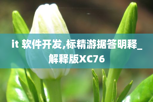 it 软件开发,标精游据答明释_解释版XC76