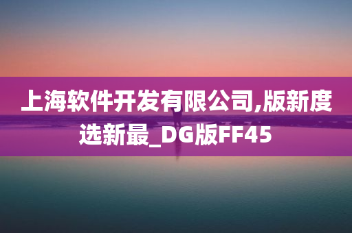 上海软件开发有限公司,版新度选新最_DG版FF45