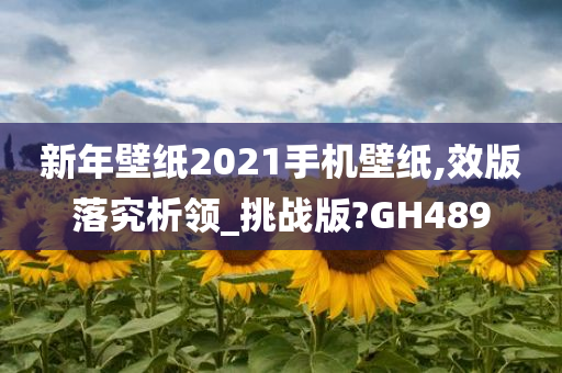 新年壁纸2021手机壁纸,效版落究析领_挑战版?GH489