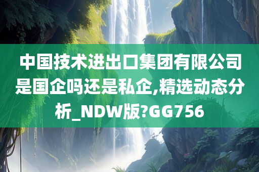 中国技术进出口集团有限公司是国企吗还是私企,精选动态分析_NDW版?GG756