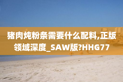 猪肉炖粉条需要什么配料,正版领域深度_SAW版?HHG77