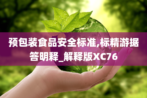 预包装食品安全标准,标精游据答明释_解释版XC76