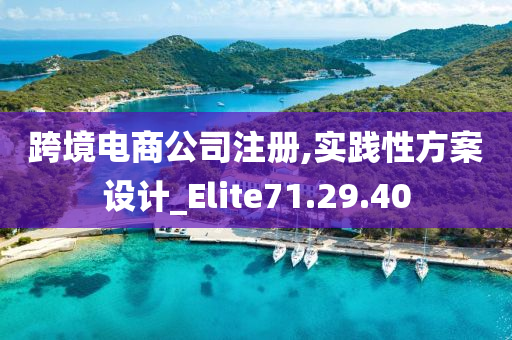 跨境电商公司注册,实践性方案设计_Elite71.29.40