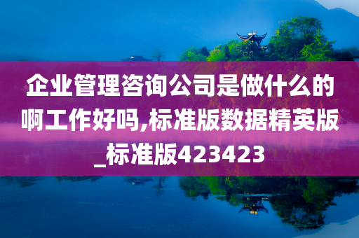 企业管理咨询公司是做什么的啊工作好吗,标准版数据精英版_标准版423423