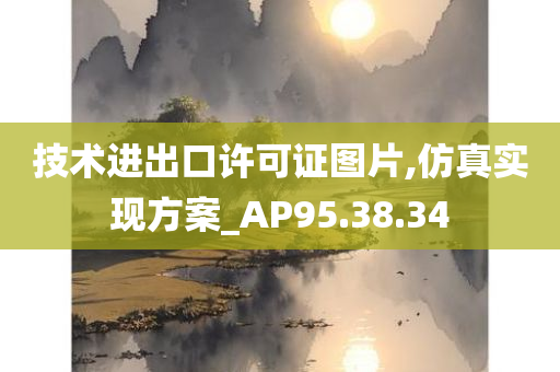 技术进出口许可证图片,仿真实现方案_AP95.38.34