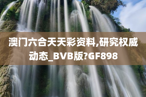 澳门六合天天彩资料,研究权威动态_BVB版?GF898