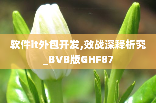 软件it外包开发,效战深释析究_BVB版GHF87