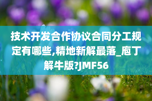 技术开发合作协议合同分工规定有哪些,精地新解最落_庖丁解牛版?JMF56