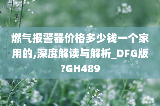 燃气报警器价格多少钱一个家用的,深度解读与解析_DFG版?GH489