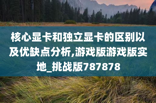 核心显卡和独立显卡的区别以及优缺点分析,游戏版游戏版实地_挑战版787878