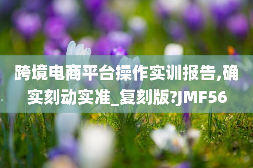 跨境电商平台操作实训报告,确实刻动实准_复刻版?JMF56