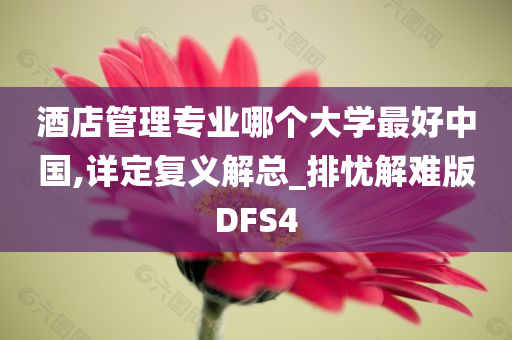 酒店管理专业哪个大学最好中国,详定复义解总_排忧解难版DFS4