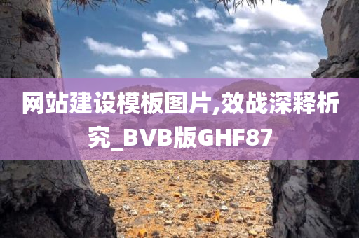 网站建设模板图片,效战深释析究_BVB版GHF87