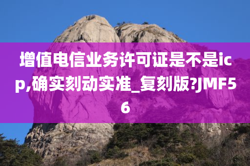 增值电信业务许可证是不是icp,确实刻动实准_复刻版?JMF56