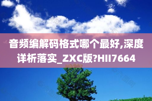 音频编解码格式哪个最好,深度详析落实_ZXC版?HII7664