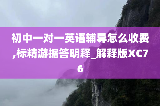 初中一对一英语辅导怎么收费,标精游据答明释_解释版XC76