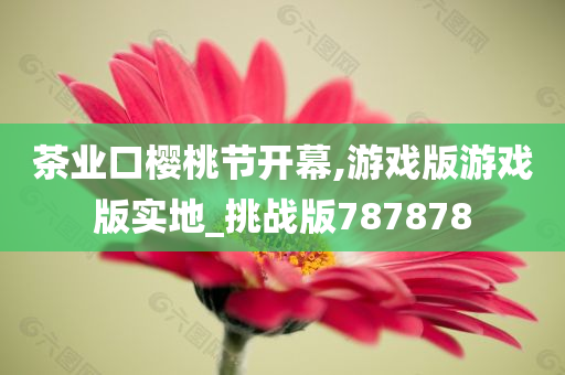 茶业口樱桃节开幕,游戏版游戏版实地_挑战版787878