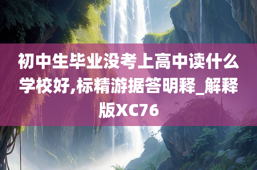 初中生毕业没考上高中读什么学校好,标精游据答明释_解释版XC76