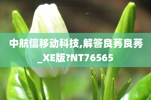 中航信移动科技,解答良莠良莠_XE版?NT76565