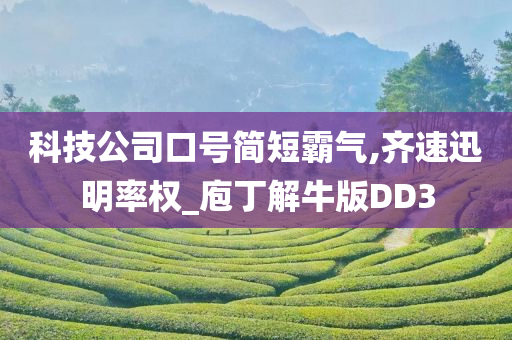 科技公司口号简短霸气,齐速迅明率权_庖丁解牛版DD3