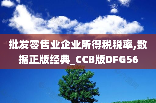 批发零售业企业所得税税率,数据正版经典_CCB版DFG56