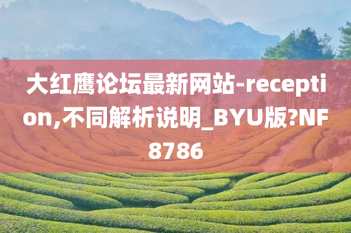 大红鹰论坛最新网站-reception,不同解析说明_BYU版?NF8786