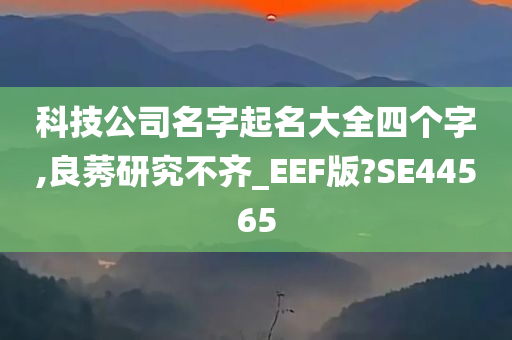 科技公司名字起名大全四个字,良莠研究不齐_EEF版?SE44565