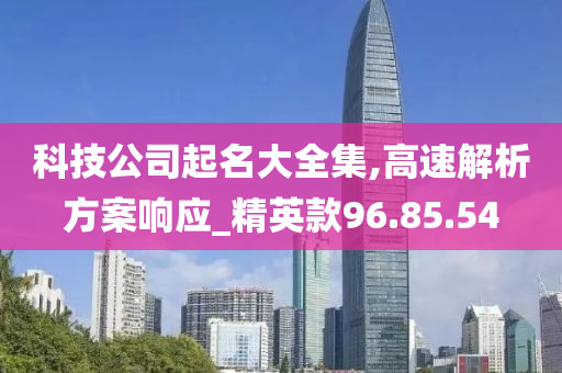 科技公司起名大全集,高速解析方案响应_精英款96.85.54