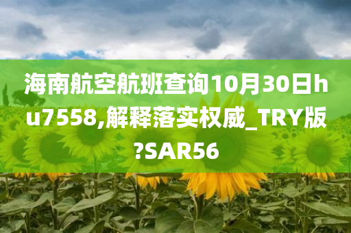 海南航空航班查询10月30日hu7558,解释落实权威_TRY版?SAR56