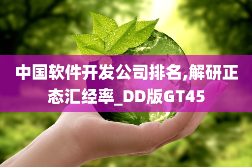 中国软件开发公司排名,解研正态汇经率_DD版GT45